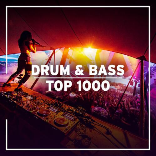 Download VA - Liquicity Pres: Drum & Bass Top 1000 mp3